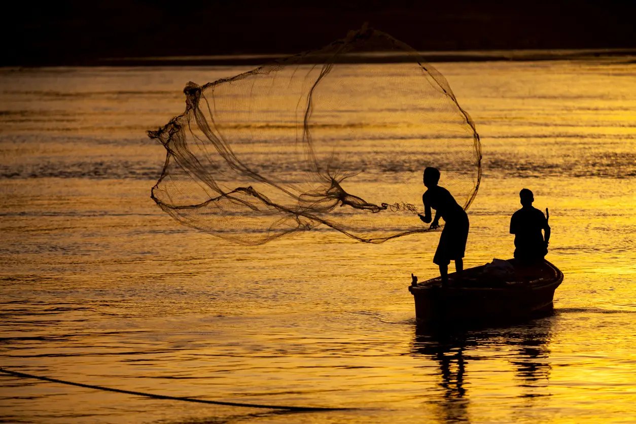 Fish farmers harvesting from a pond in North East India.